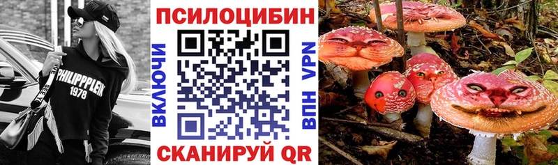 Галлюциногенные грибы Psilocybe  Алагир 