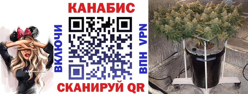 Бошки Шишки White Widow Алагир